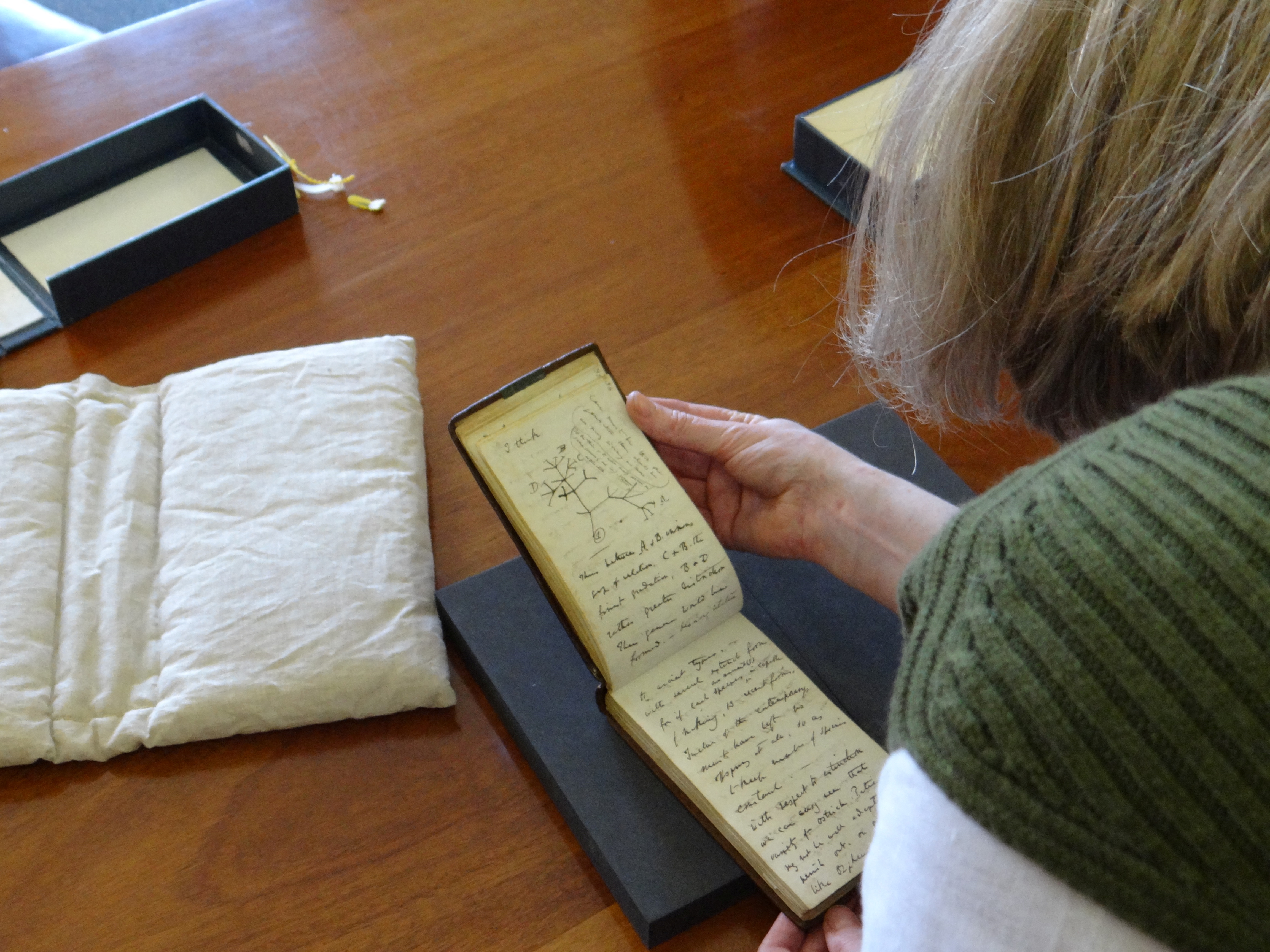A woman flicks through the pages of a small used notebook.